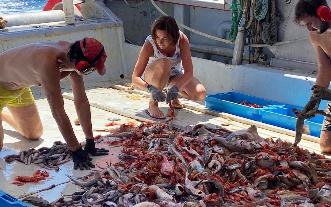 Taula Parada debat sobre el futur de la pesca al Mediterráneo (II Part)