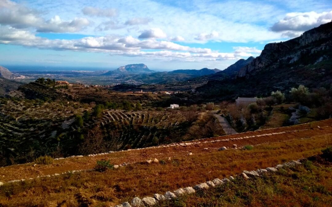 El paisatge que torna, o no: vinya, bancals i terra perduda