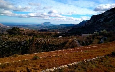 El paisatge que torna, o no: vinya, bancals i terra perduda